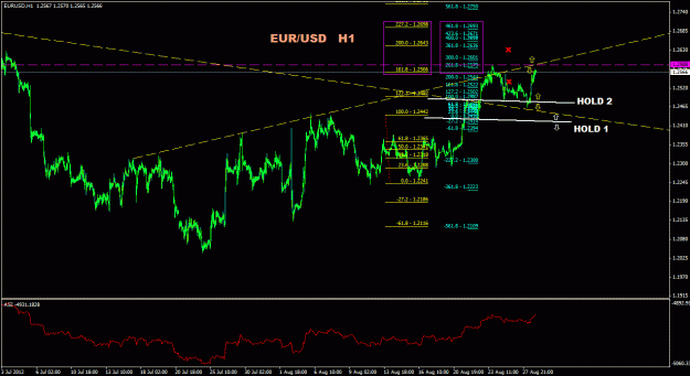 Click to Enlarge

Name: eurusd_1h_044.gif
Size: 28 KB