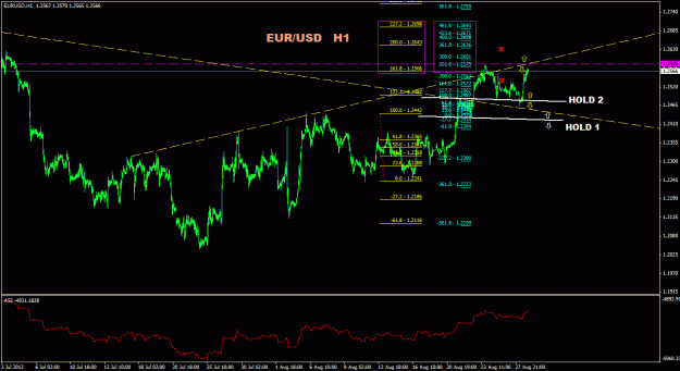Click to Enlarge

Name: eurusd_1h_044.gif
Size: 28 KB