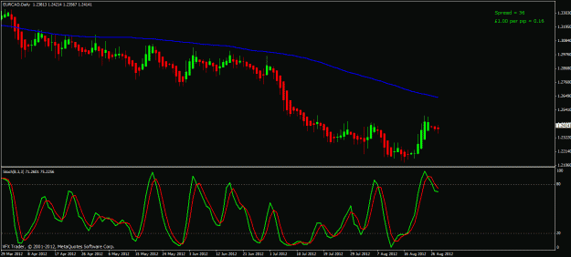 Click to Enlarge

Name: eurcad daily 28 08 12.gif
Size: 22 KB