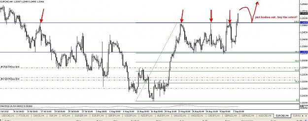 Click to Enlarge

Name: eurcadh4.jpg
Size: 131 KB