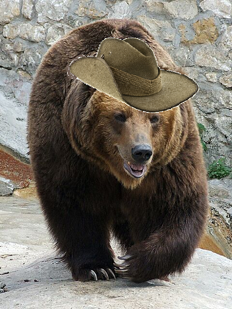 Click to Enlarge

Name: Aussie Bear.png
Size: 698 KB