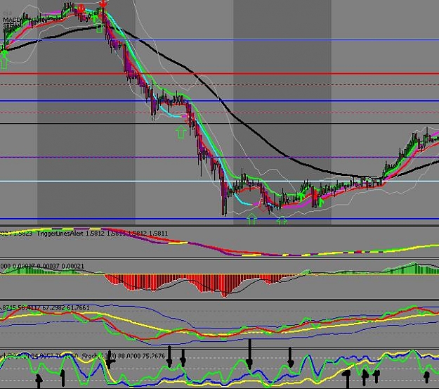 Click to Enlarge

Name: stoch signal examples 2 eurusd.JPG
Size: 73 KB