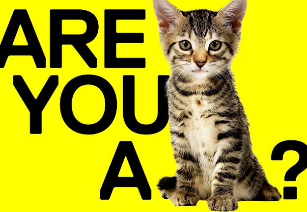Click to Enlarge

Name: are-you-a-pussy-628x434.jpg
Size: 170 KB