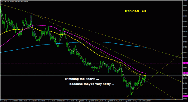 Click to Enlarge

Name: usdcad_4h_011.gif
Size: 26 KB