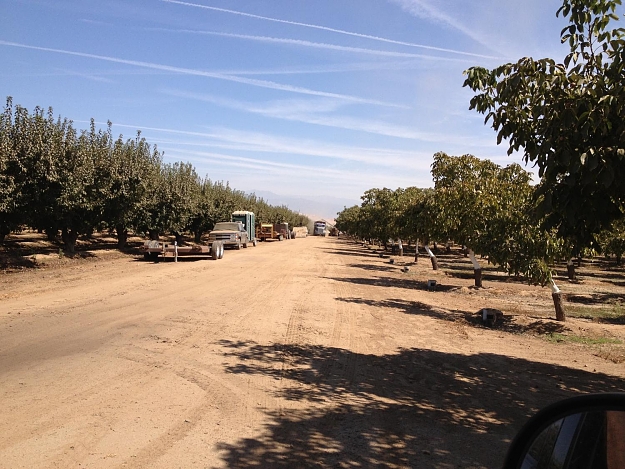 Click to Enlarge

Name: Farm Pics (3).jpg
Size: 276 KB