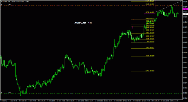 Click to Enlarge

Name: audcad_1h_011.gif
Size: 23 KB