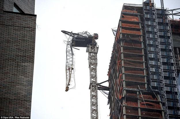 Click to Enlarge

Name: droopy crane.jpg
Size: 149 KB