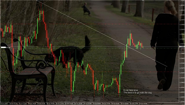 Click to Enlarge

Name: zepipodog.jpg
Size: 116 KB