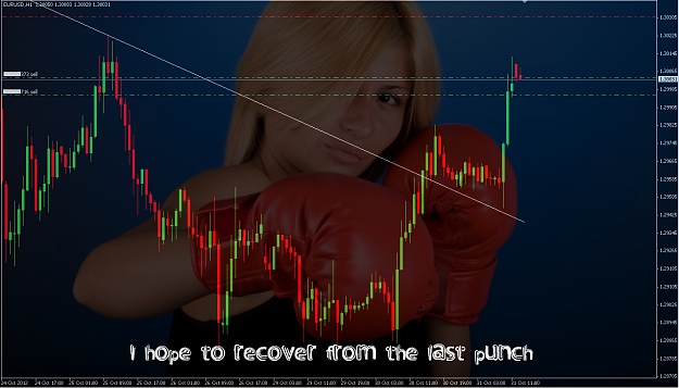 Click to Enlarge

Name: zepipoinsist.png
Size: 705 KB