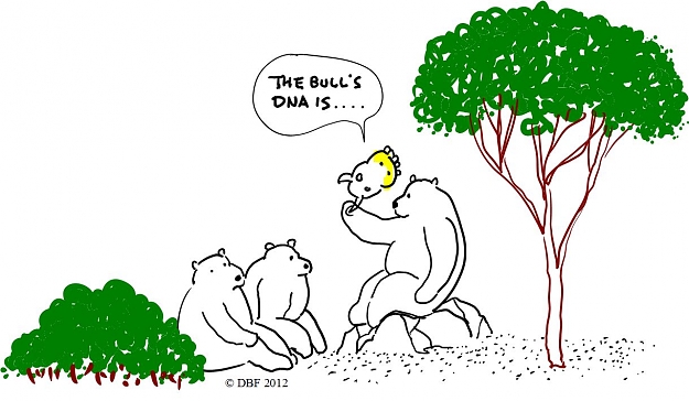 Click to Enlarge

Name: BEAR TALK-2.JPG
Size: 114 KB