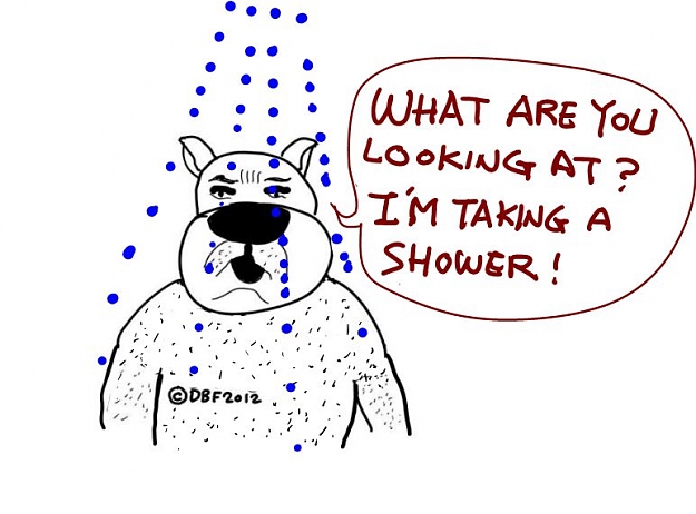 Click to Enlarge

Name: SHOWER-4.JPG
Size: 65 KB