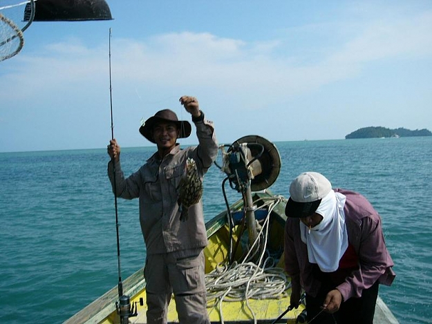 Click to Enlarge

Name: fishing.JPG
Size: 73 KB