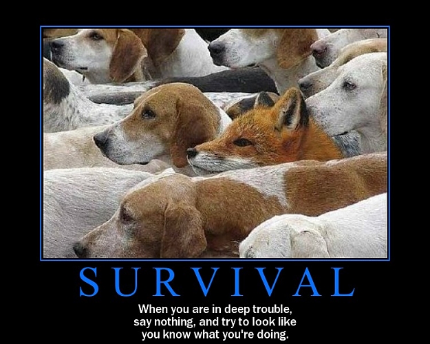 Click to Enlarge

Name: Survival.jpg
Size: 113 KB