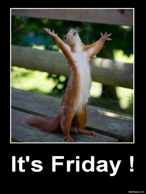 Click to Enlarge

Name: its-friday-squirrel-funny-pictures.jpg
Size: 45 KB