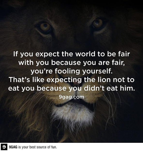 Click to Enlarge

Name: gr8 stuff.jpg
Size: 62 KB