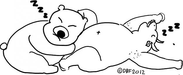Click to Enlarge

Name: SLEEP.JPG
Size: 38 KB