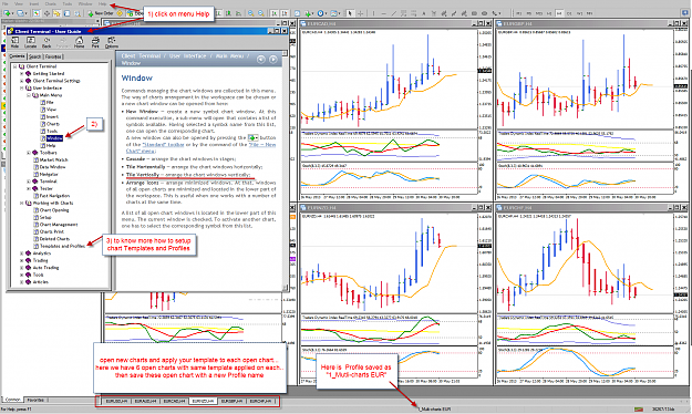 Click to Enlarge

Name: Multi-Charts Window.png
Size: 191 KB