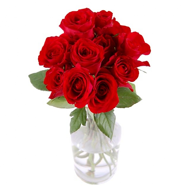Click to Enlarge

Name: dozen_red_roses_RJ1580_enlarge.jpg
Size: 29 KB