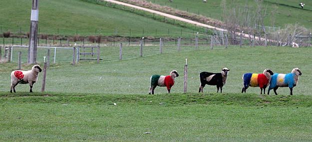 Click to Enlarge

Name: World-Cup-Sheep-IRB-RWC-2-002[1].jpg
Size: 93 KB