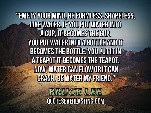 Click to Enlarge

Name: “Empty-your-mind-be-formless.-Shapeless-like-water.-If-you-put-water-into-a-cup-it-becomes-the.jpg
Size: 422 KB