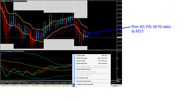 Click to Enlarge

Name: EY H1 Fib38-50 entry in M15 11-7-2013 10-00-11 PM.png
Size: 115 KB