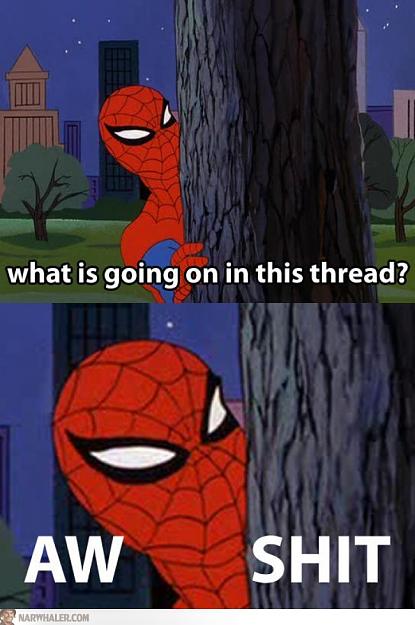 Click to Enlarge

Name: 2932947-what-is-going-on-in-this-thread-spiderman-edrkKb.jpg
Size: 96 KB