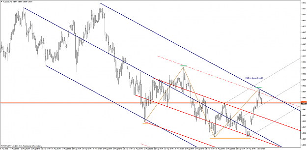 Click to Enlarge

Name: audusd-h1 20130902.png
Size: 75 KB