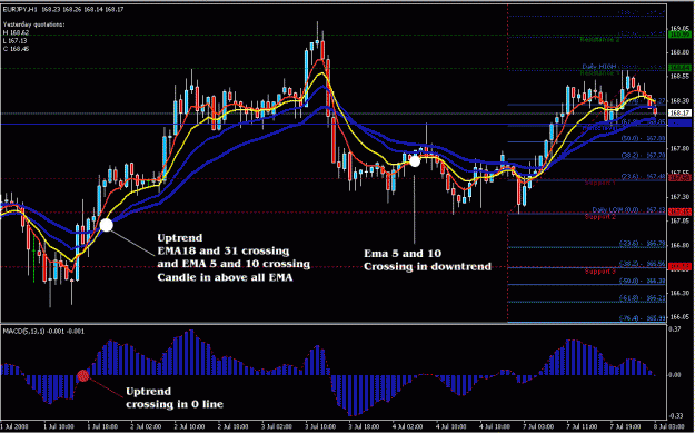 Click to Enlarge

Name: makepips2.gif
Size: 32 KB