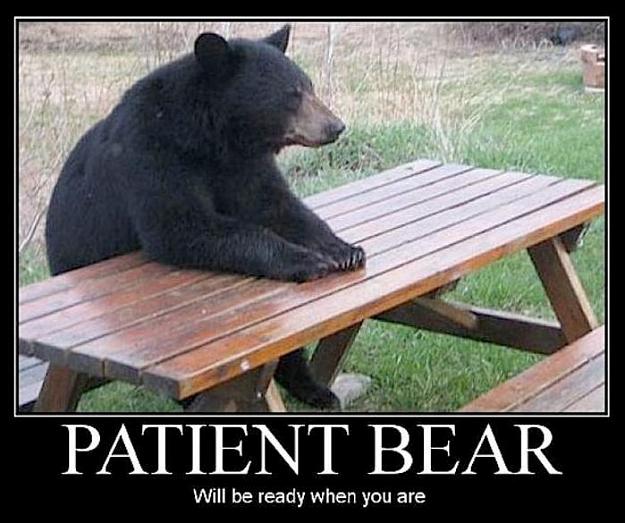 Click to Enlarge

Name: patient_bear.jpg
Size: 68 KB
