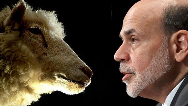 Click to Enlarge

Name: special_sheep.jpg
Size: 46 KB