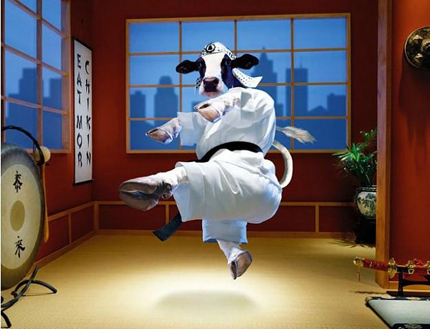 Click to Enlarge

Name: karate-cow.jpg
Size: 57 KB