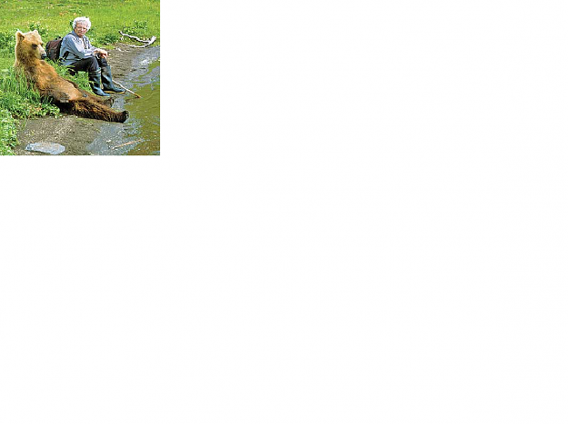 Click to Enlarge

Name: eurobear.png
Size: 273 KB