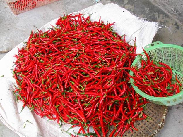 Click to Enlarge

Name: cabe1.jpg
Size: 86 KB