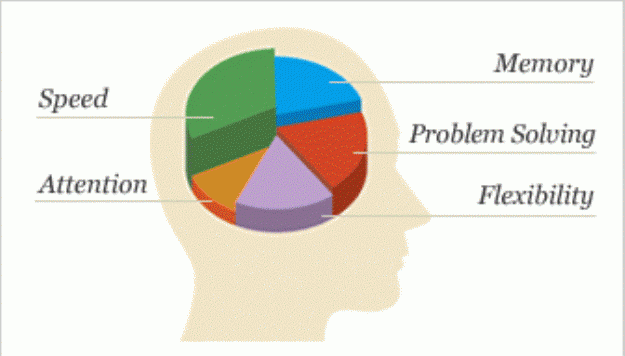Click to Enlarge

Name: NormalBrain.gif
Size: 47 KB