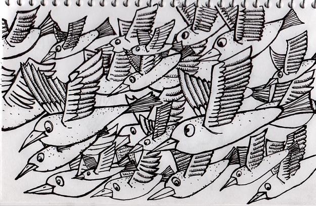 Click to Enlarge

Name: flock-of-birds.jpg
Size: 131 KB