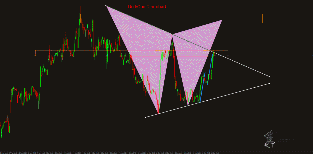 Click to Enlarge

Name: UsdCad.gif
Size: 48 KB