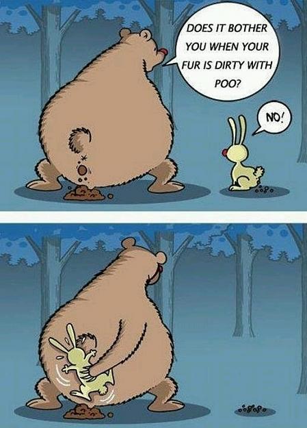 Click to Enlarge

Name: funny-pictures-auto-comics-bear-382174.jpeg
Size: 56 KB