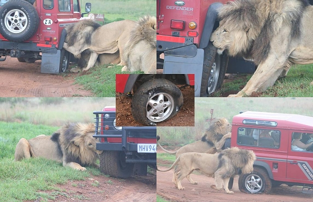 Click to Enlarge

Name: Africa.JPG
Size: 145 KB