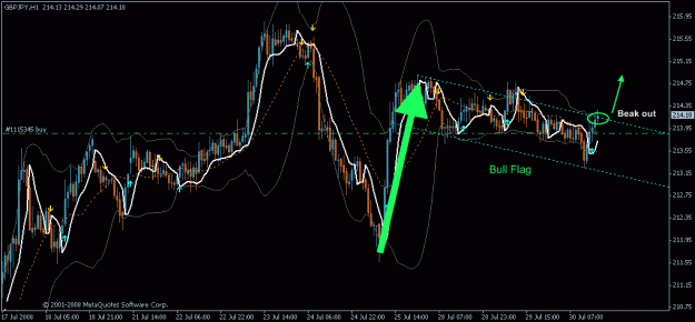 Click to Enlarge

Name: bull flag.gif
Size: 33 KB