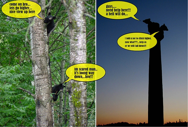 Click to Enlarge

Name: bearsss.jpg
Size: 221 KB