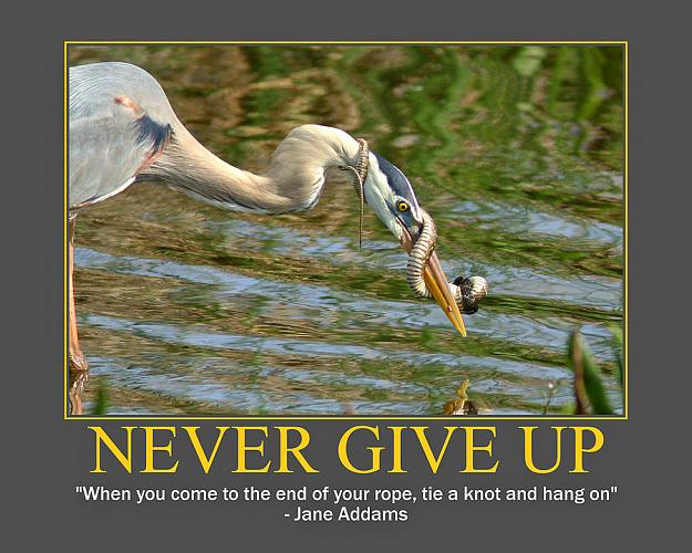 Click to Enlarge

Name: never-give-up.jpg
Size: 134 KB
