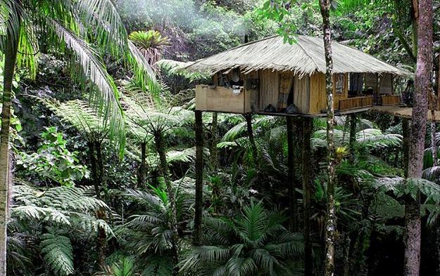 Click to Enlarge

Name: hut in jungle.JPG
Size: 173 KB