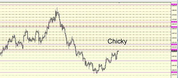 Click to Enlarge

Name: chicky gold.jpg
Size: 159 KB