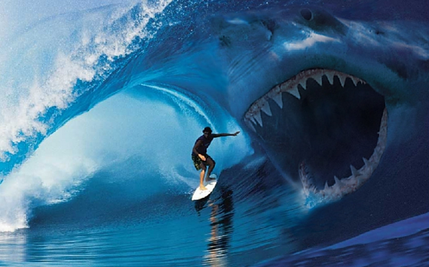 Click to Enlarge

Name: SHARK2.PNG
Size: 1.0 MB