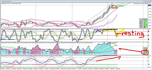 Click to Enlarge

Name: GC week resting.JPG
Size: 358 KB