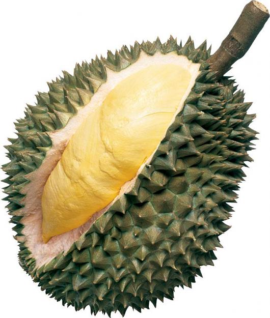 Click to Enlarge

Name: durian.jpg
Size: 83 KB