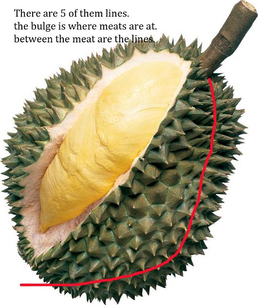 Click to Enlarge

Name: durian1.jpg
Size: 302 KB