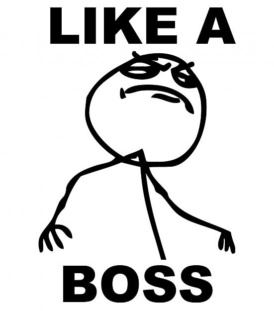 Click to Enlarge

Name: meme-sticker-likeaboss.jpg
Size: 83 KB