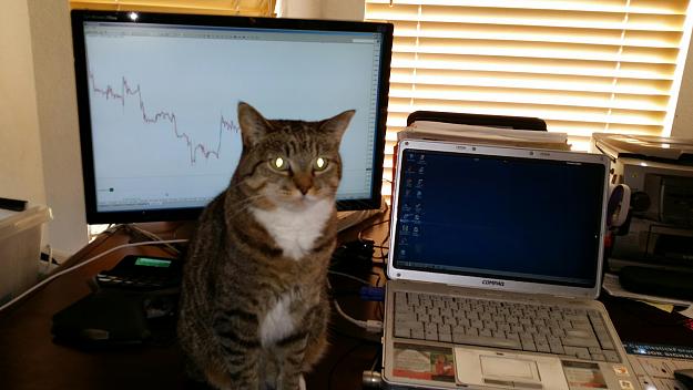 Click to Enlarge

Name: Jade the Cat Trader.jpg
Size: 539 KB