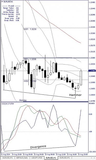 Click to Enlarge

Name: EURUSD, H1, 2014 August 26, v2.jpg
Size: 149 KB